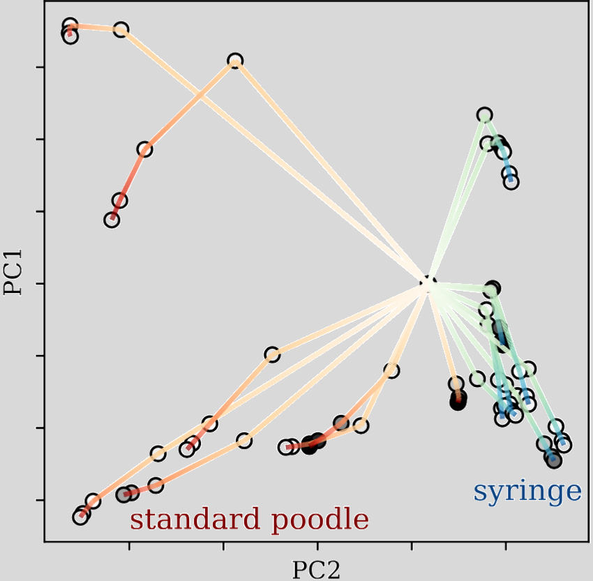 stability on tinyimagenet